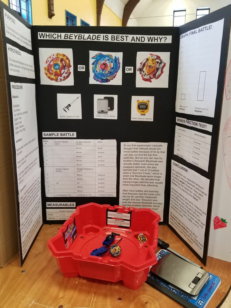 Unusual science fair projects